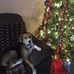 Profile Picture of Joann Wojcik (@joann.wojcik.58) on Facebook