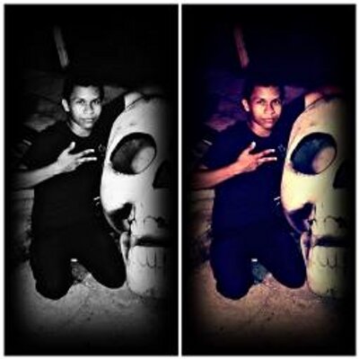 Profile Picture of Jackson Flash Fox (@jacksonflash2) on Twitter