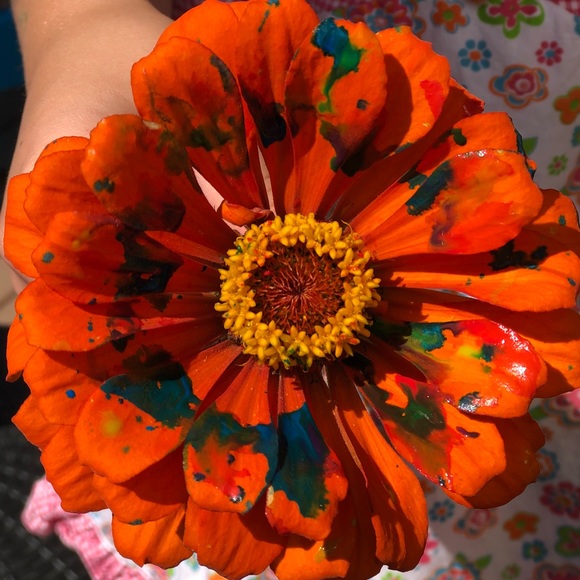 Profile Picture of Emily Gascoigne (@unicornmom333) on Poshmark