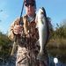 Profile Picture of Joe Dorman (@joeddorman) on Pinterest