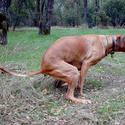 Profile Picture of Lenny Reid (@Lenbo88) on Twitter