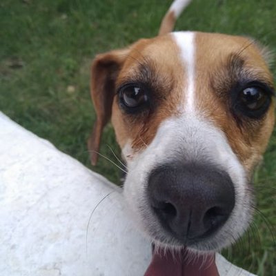 Profile Picture of César Raygoza Conchas (@CsaRay93) on Twitter