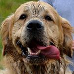 Profile Picture of Stephen McClelland (@stephenmclelland3008) on Instagram