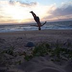 Profile Picture of Seth Forrest (@forrestseth) on Instagram