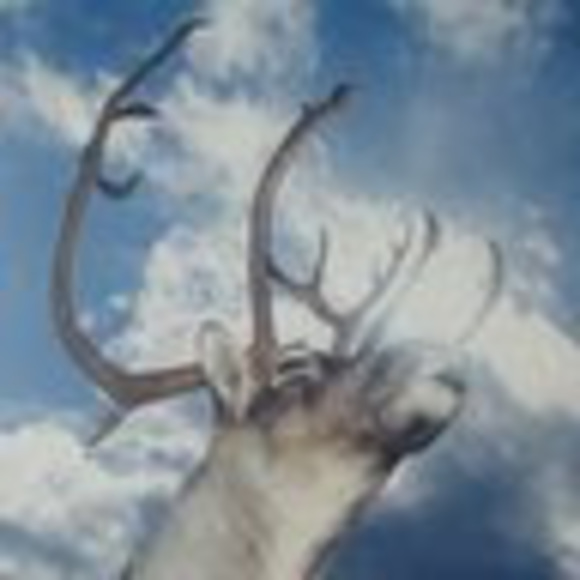 Profile Picture of Susan Embach (@sembach) on Poshmark