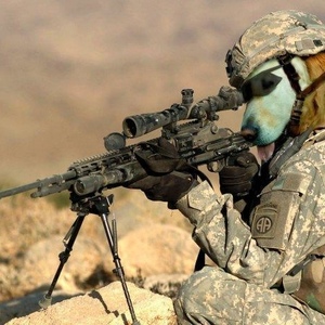 Jefferson Pierre - Myspace Profile Picture of Jefferson Pierre (@kinge_jeff) on Myspace