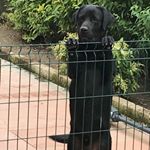 Profile Picture of Robi (@robertasallyfusaro) on Instagram