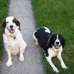 Profile Picture of Nancy Walsh McNair (@nancy.walshmcnair) on Instagram