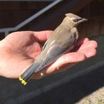 Profile Picture of Michael Stansberry (@ranger_91) on Instagram