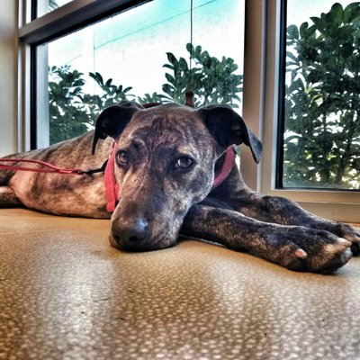 Profile Picture of Amber Clymer (@Bootsy33311) on Twitter