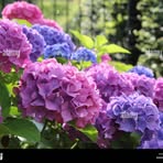 Profile Picture of Randa Gomaa (@Randa-Gomaa) on Facebook