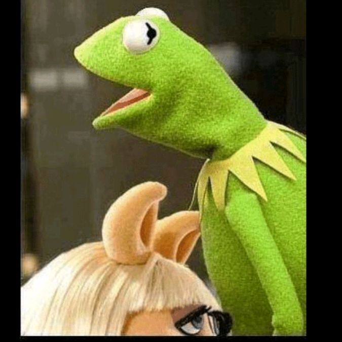 Profile Picture of Kermit (@kermitdap) on Tiktok