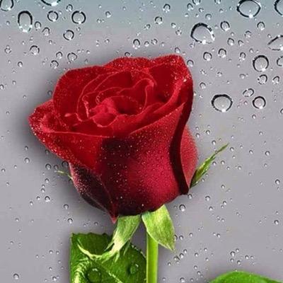 Profile Picture of Jeremiah Hodge (@jeremiah02171) on Twitter