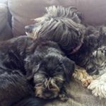 Profile Picture of Stephen Gillen (@sjpgillen) on Instagram