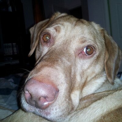 Profile Picture of Michael Satterlee (@mtsatt64) on Twitter