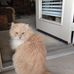 Profile Picture of Dwight Tindall (@dwight.tindall.50) on Facebook