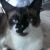 Profile Picture of Mindy Farrell-Richardson (@mfarrellrichard) on Pinterest