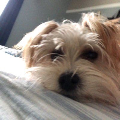 Profile Picture of Matthew_horsman (@matthew_horsman) on Twitter