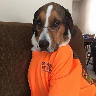 Profile Picture of John C. Secter Dvm (@jsecter1) on Facebook