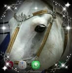 Profile Picture of Ricardo Minetti (@ricardo.minetti.3) on Facebook