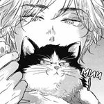 Profile Picture of 𓄹࣪ los gatos d nathan (@gatitos.gorditos_) on Instagram