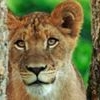 Profile Picture of Eugene Pyle (@eugene.pyle.169) on Facebook
