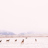 Tabitha Klein - Quora Profile Picture of Tabitha Klein (@tabitha-klein-1) on Quora