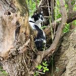 Profile Picture of GP Azarie (@cheriraymond) on Instagram