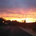 Profile Picture of Todd Pitcher (@pitcher0140) on Pinterest