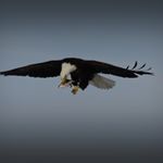 Profile Picture of Shawn Erickson (@eclectic87) on Instagram