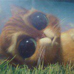 Profile Picture of ghazal (@ghazal.yazdani) on Instagram