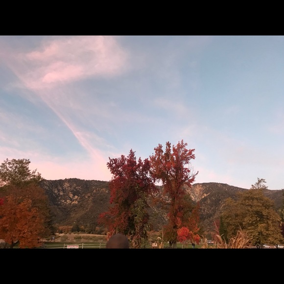 Profile Picture of Reyes Chacon (@reyes_chacon) on Poshmark