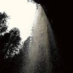 Profile Picture of miles wallace green (@greenbros.photography) on Instagram