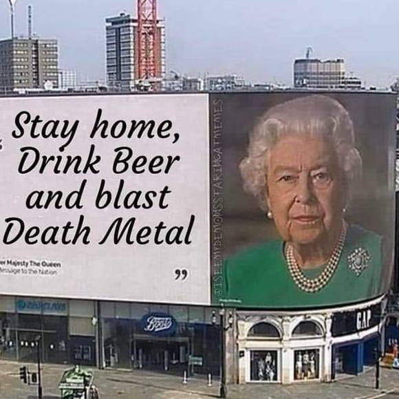 Profile Picture of Annmarie timothy Carroll (@knibo) on Poshmark