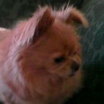 Profile Picture of Joseph Panarello (@josephpanarello) on Instagram