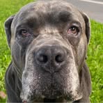 Profile Picture of Marc Wauthier (@Marc-Wauthier) on Facebook