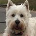 Profile Picture of Ray Baxter (@ray.baxter.9404) on Facebook
