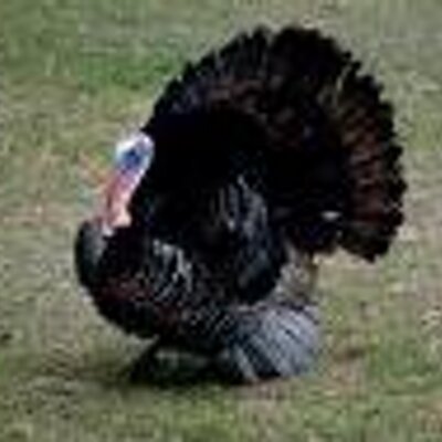 Dave Breath - Twitter Profile Picture of Dave Breath (@dbreathy) on Twitter