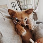Profile Picture of Teddy Wilcox (@_teddyyy_1) on Instagram