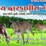 Profile Picture of જય દ્વારકાધીશ ગૌ સેવા હોસ્પિટલ (@jay_dwarkadhish_cow_hospital) on Instagram