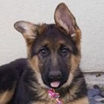 Steven M Ratner - Instagram Profile Picture of Steven M Ratner (@stevenmratner) on Instagram