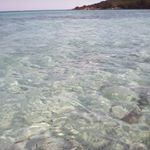 Profile Picture of Tony Prisco (@tifoso.napoli.10) on Instagram