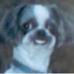 Profile Picture of Jeffrey Horton (@lil_thiccilo) on Instagram