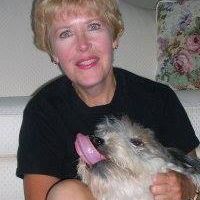 Profile Picture of Robin Pfenninger (@goldenbird01) on Pinterest