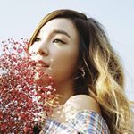 Profile Picture of Tiffany Young💖daily posts✨ (@tiffanyyoung_video) on Instagram