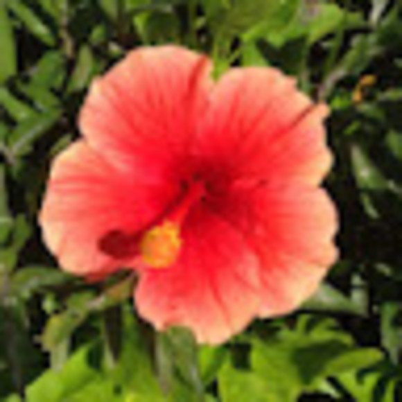 Profile Picture of Sandra Post (@kspost7) on Poshmark