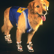 Profile Picture of John Walters (@johnwalters7383) on Youtube