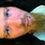 Profile Picture of Kyle Boysen (@kyle boysen) on Flickr