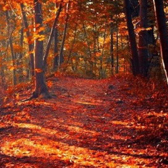 Profile Picture of Brittney Morren (@brittney1424) on Poshmark