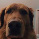 Profile Picture of johnathan_buffone (@johnathan_buffone) on Instagram